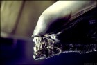 Alien (1979)