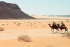 Lawrence of Arabia (50th Anniversary)